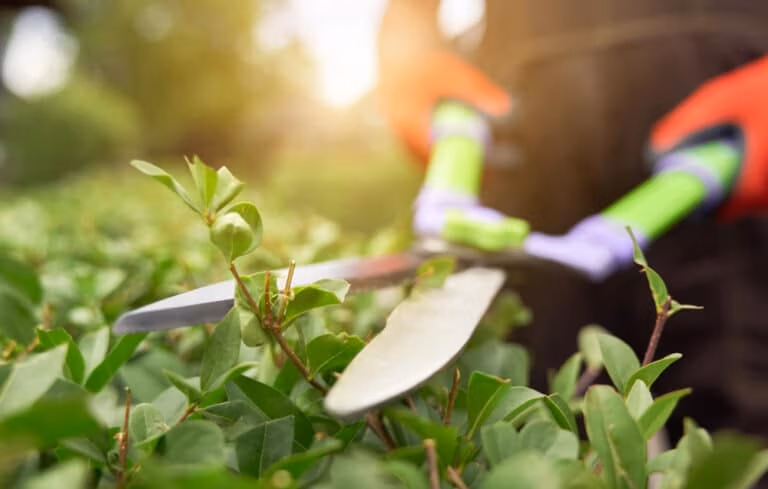Grünflächenpflege Berlin
