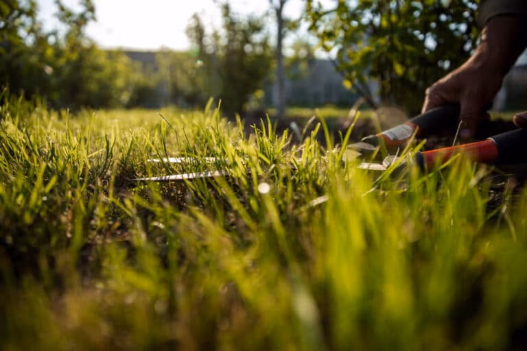 Grünflächenpflege Berlin