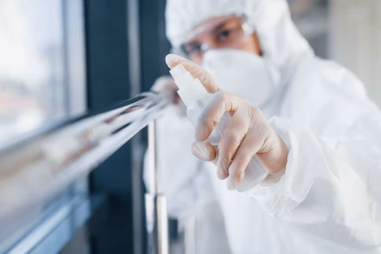 Desinfektion Reinigung Berlin